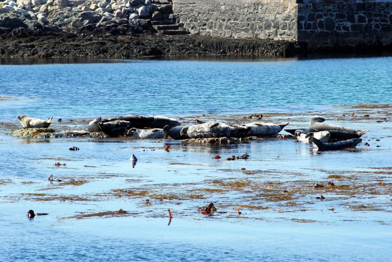 Orsay House Bed and Breakfast Portnahaven Exteriör bild